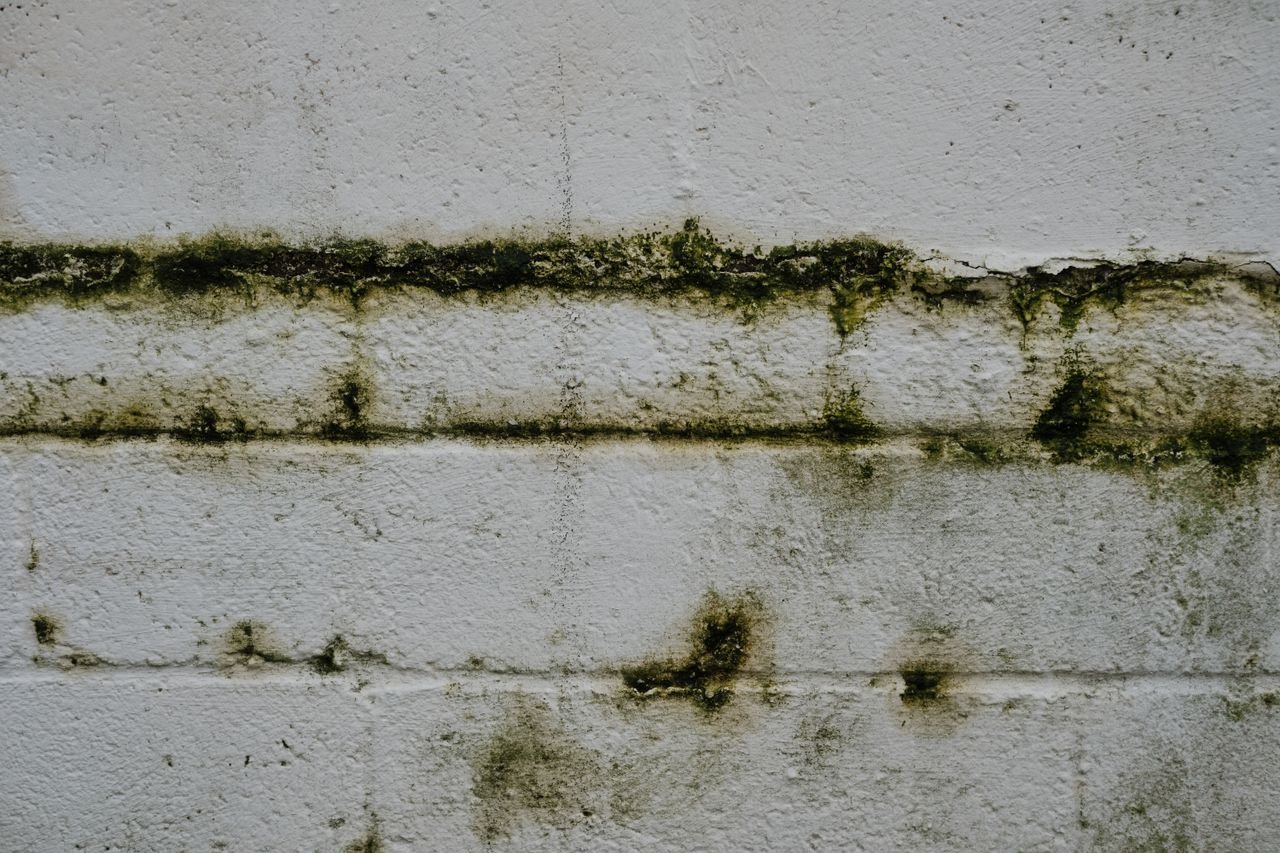 Close-up of an aged mossy brick wall in Greystoke, England.